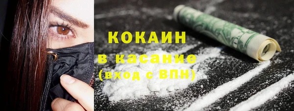 твердый Алексеевка