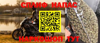 прущие грибы Аргун