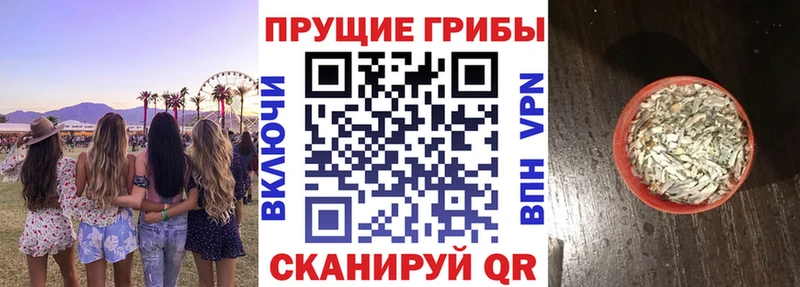 Галлюциногенные грибы мицелий  Аргун 