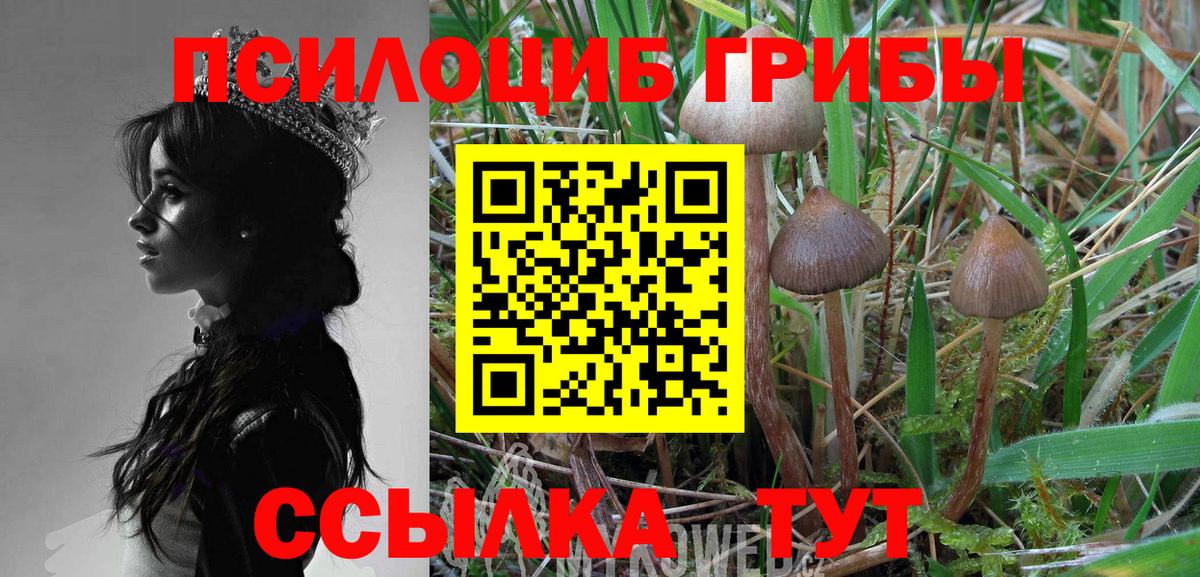 Аргун  сколько стоит  Вход с VPN  Галлюциногенные грибы мухоморы 