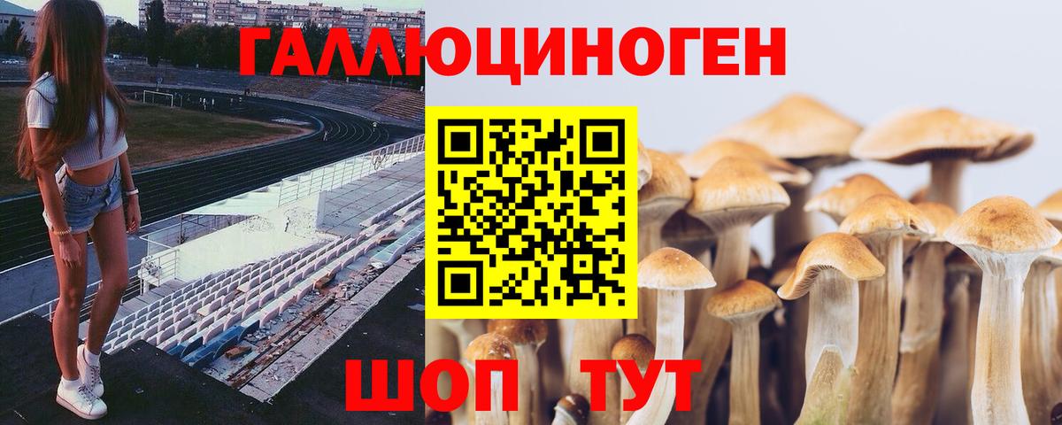 Галлюциногенные грибы MAGIC MUSHROOMS Аргун